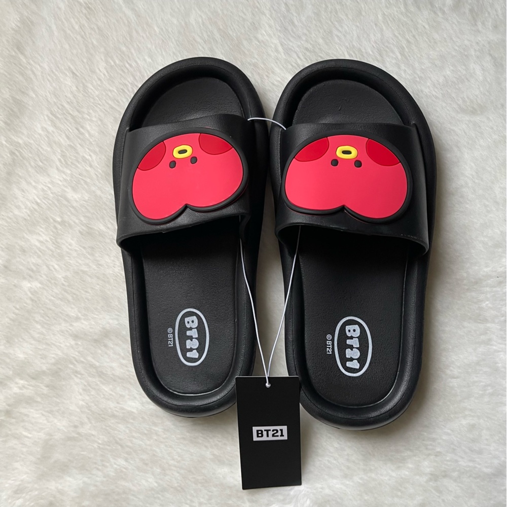 NWT BT21 Tata slides